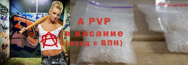 дмт Билибино