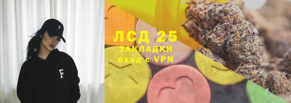 ПСИЛОЦИБИНОВЫЕ ГРИБЫ Костерёво