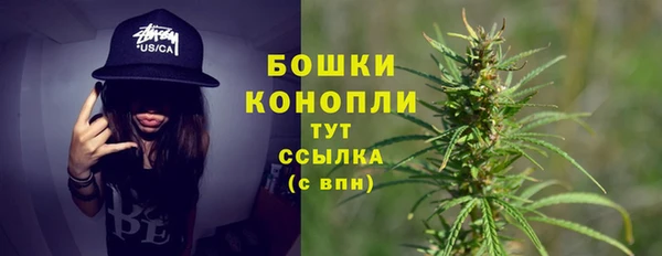 ПСИЛОЦИБИНОВЫЕ ГРИБЫ Костерёво