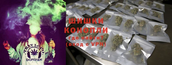 сатива Краснотурьинск