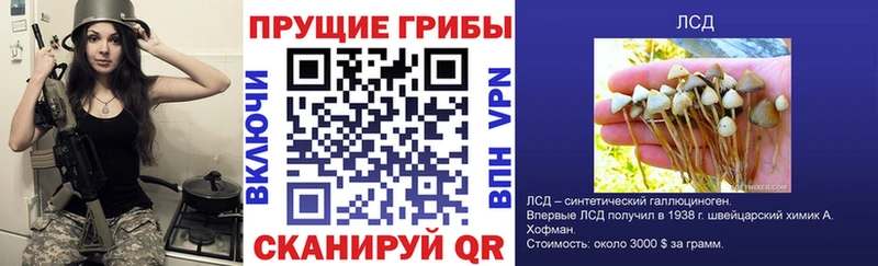 Галлюциногенные грибы прущие грибы  продажа наркотиков  МЕГА ссылки  Нестеров 